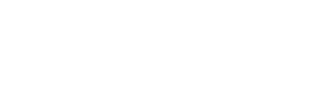 Bluauto